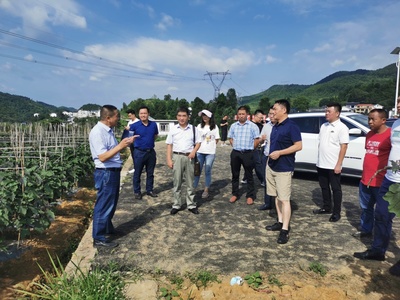 遵義市農(nóng)業(yè)農(nóng)村局 以技術(shù)服務(wù)為抓手，賦能現(xiàn)代農(nóng)業(yè)高質(zhì)量發(fā)展