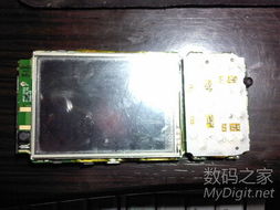 數(shù)字產(chǎn)品技術(shù)交流平臺 推動創(chuàng)新與協(xié)作的橋梁